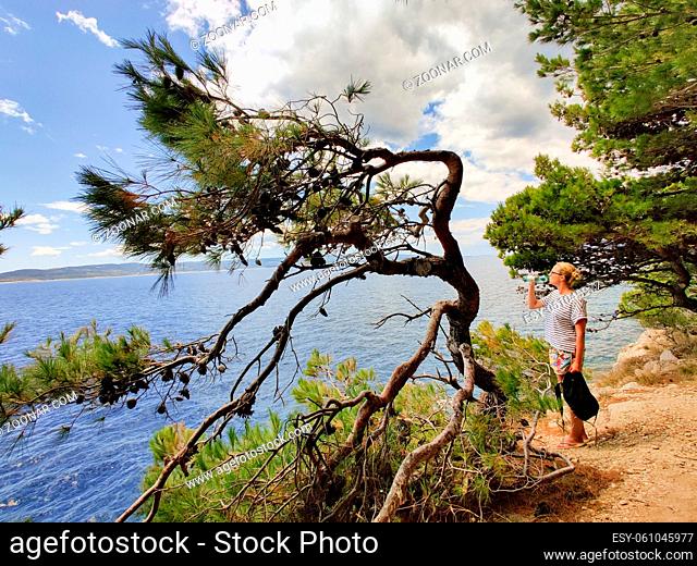 Young active feamle tourist taking a break, drinking water, wearing small backpack while walking on coastal path among pine trees looking for remote cove to...