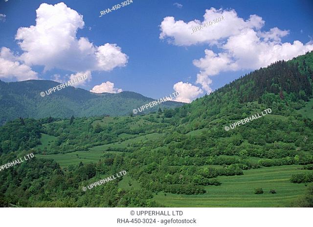 Typical hilly landscape, Vlkonec, Liptov region, Slovakia, Europe