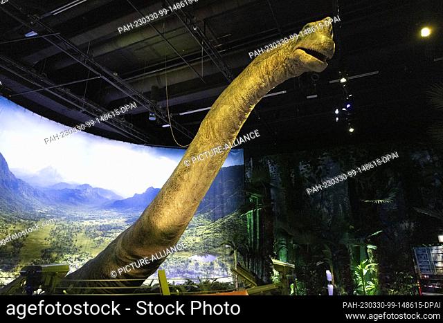 30 March 2023, North Rhine-Westphalia, Cologne: A replica of a brachiosaurus is on display at the ""Jurassic World: The Exhibition"" at the Odysseum