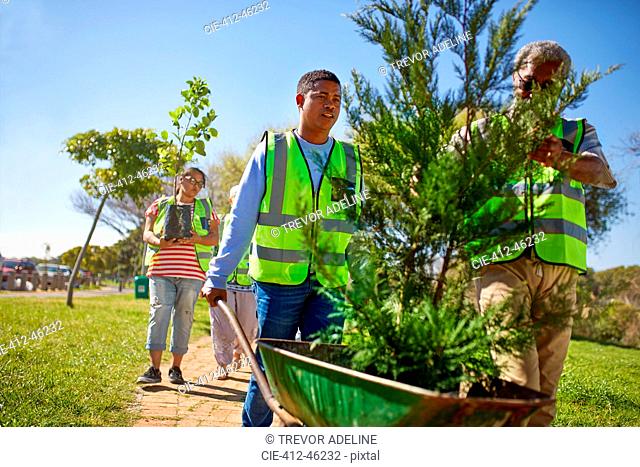 Volunteers planting trees in sunny park