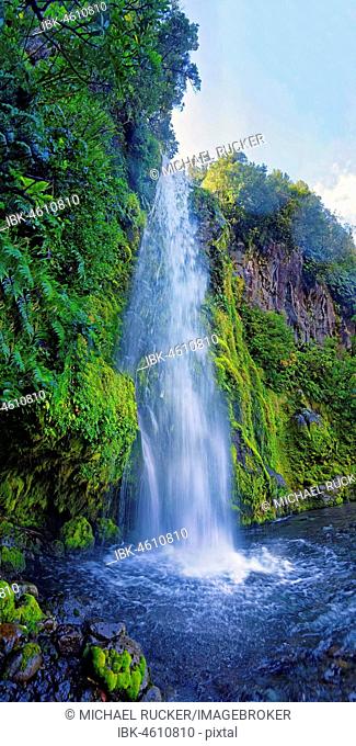 Dawson Falls waterfall in the middle of a tropical rainforest, Dawson Falls, Mount Taranaki or Mount Egmont, Whanganui National Park, North Island, New Zealand