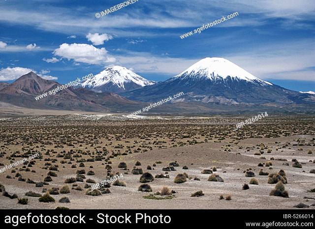 Parinacota and Pomerape Volcanoes, Lauca National Park, Chile, South America