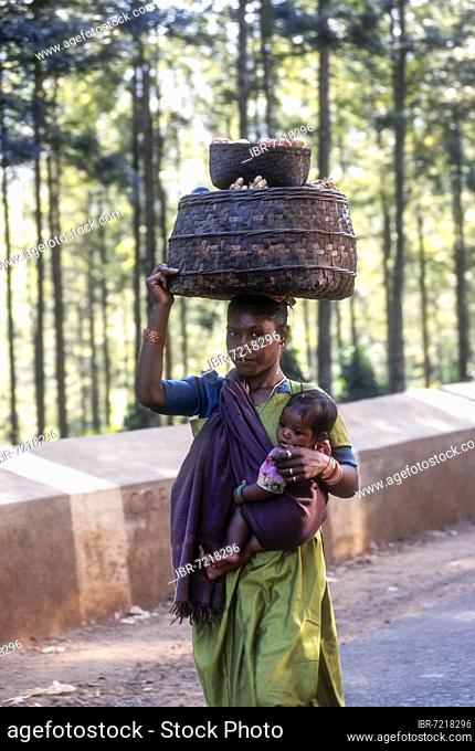 Tribal woman carrying her daughter on hip and carrying vegetable basket on head in Araku Valley near Vishakapatnam, Vizag, Andhra Pradesh, India, Asia