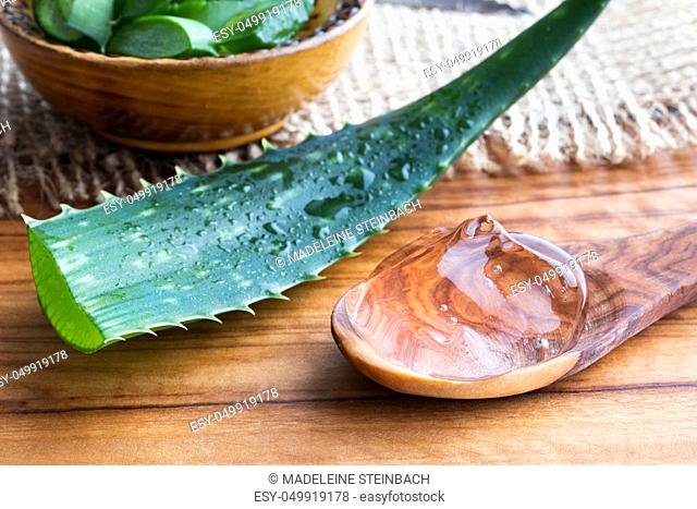 Aloe vera gel on a spoon with a whoe aloe vera leaf in the background