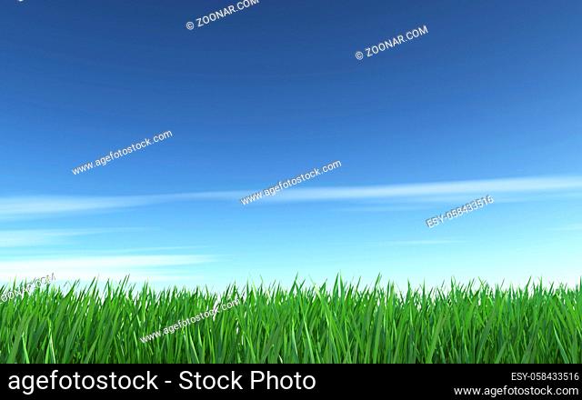Blue sky and green grass - nature background