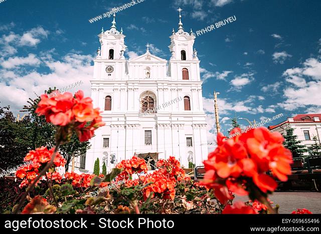 Grodno, Belarus. Famous Landmark Is St. Francis Xavier Cathedral At Sunny Summer Day In Hrodna, Belarus