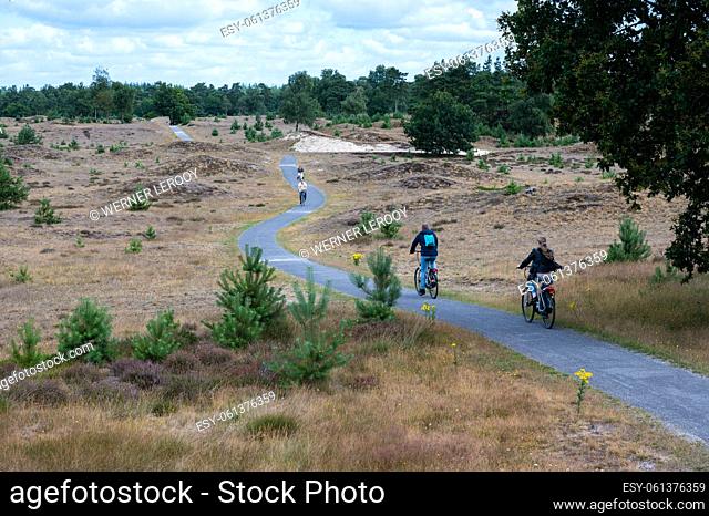 Appelscha, Drenthe, Netherland - Couple driving an electric bike through the heather