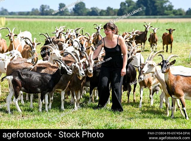 30 July 2021, Brandenburg, Flatow: Farmer Sarah Spindler looks after her goats on the grounds of the Karolinenhof goat dairy near Kremmen