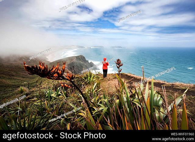Lone man admiring view of Pacific Ocean from edge of coastal cliff at Cape Reinga