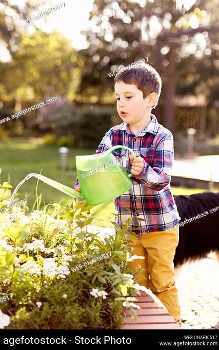 Boy watering plants at back yard