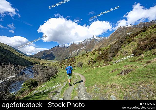 Hiker on trail to Rob Roy Glacier, Rob Roy Stream, Mount Aspiring National Park, Otago, South Island, New Zealand, Oceania