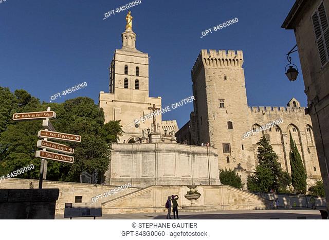 CATHEDRAL NOTRE DAME DES DOMS OF AVIGNON, BUILT IN THE 12TH CENTURY AND ENLARGED IN THE 14TH AND 17TH CENTURIES, MASTERPIECE OF PROVENCAL ROMANESQUE ART LISTED...