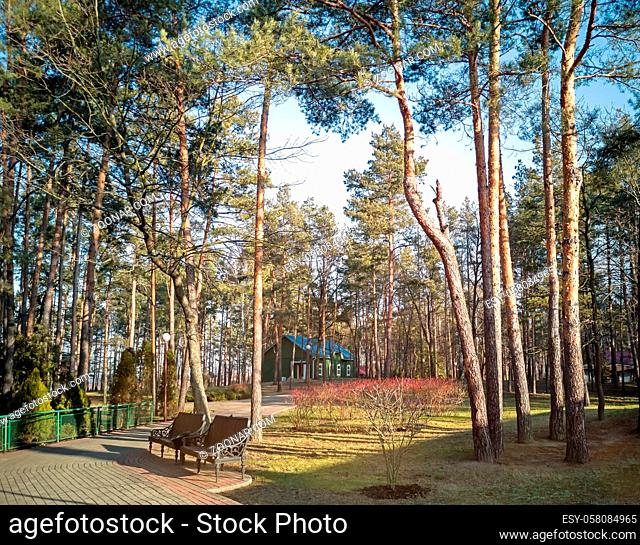Autumn landscape: alley in the Park, benches, trees with fallen leaves on a clear Sunny day