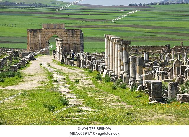 Morocco, Volubilis, ruins, columns, triumph-bow, destination, sight, culture, ruin-field, constructions, buildings, architecture, fragments, destruction