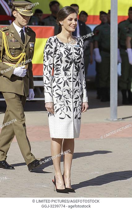 Queen Letizia attends the Delivery of the National Flag to the 'Napoles' Infantry Regiment 4 at the Paracuellos del Jarama headquarters in Madrid