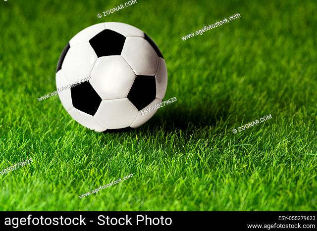 Soccer ball on a green grass close-up. Concept - football passion