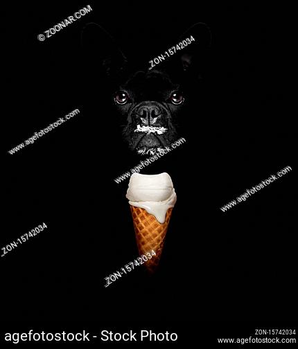 French bulldog in dark isolated background , with a waffle cone of cold and fresh yummy delicious ice cream