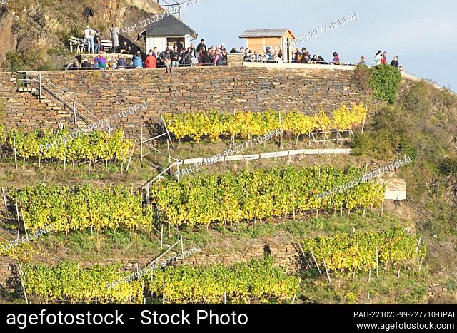 22 October 2022, Rhineland-Palatinate, Dernau: Hikers drink a glass of wine during a break above the village. After the Ahr flood with at least 134 deaths in...
