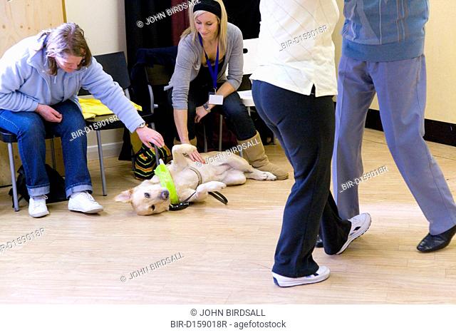 Two women petting a guide dog during an NRSB dance activity day at their centre on Ortzen Street, This is part of the IMPACT project