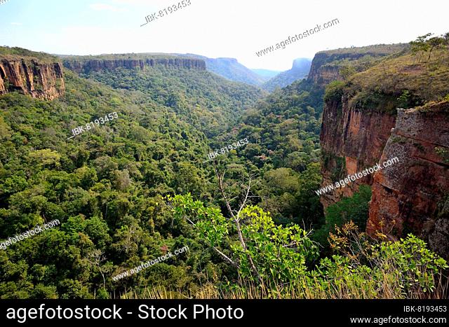 Gorge at the Véu da Noiva waterfall, Chapada dos Guimarães NP, Mato Grosso, Brazil, South America