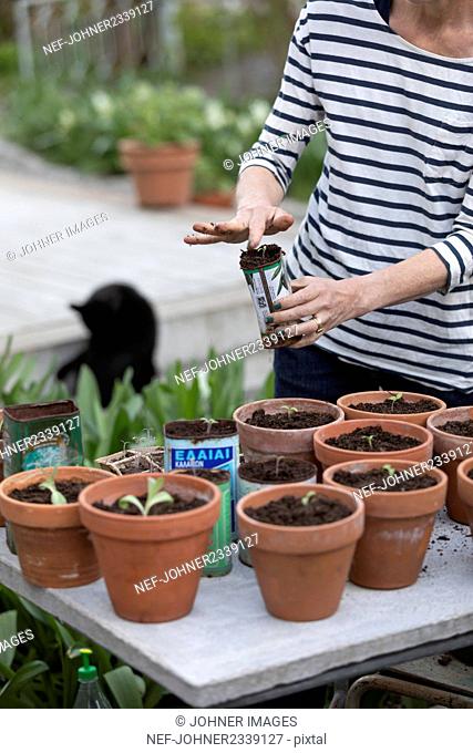 Woman planting seedlings