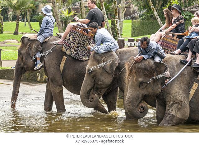 Tourists and handlers riding rescued Sumatran elephants at the Elephant Safari Park at Taro, Bali, Indonesia