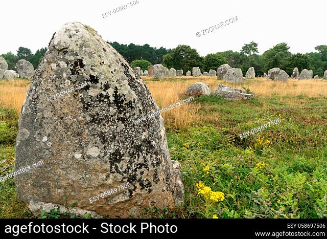 A view of prehistoric monolith stone alignments in Brittany at Carnac