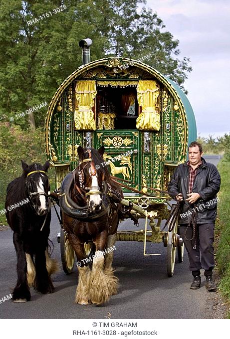 Shire horses pull 100-year-old gypsy caravan through country lanes, Stow-On-The-Wold, Gloucestershire, United Kingdom
