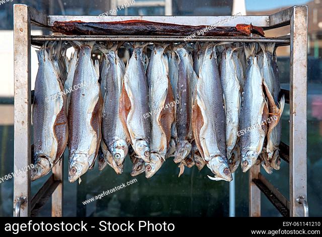 Freshwater lake sardines suspended on the dryer to dry in the sun along the shores of lake