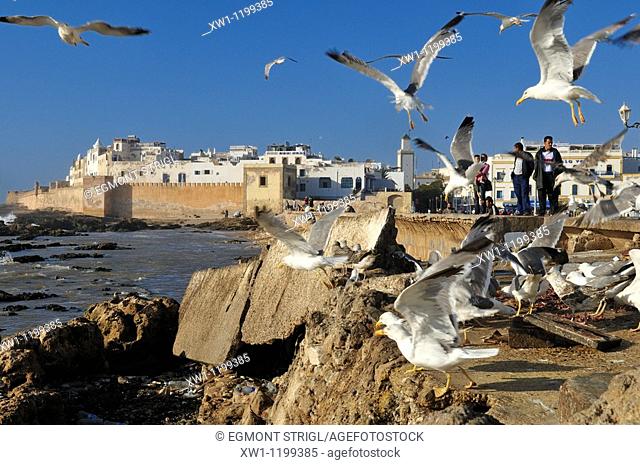 view of the oldtown of Essaouira, Unesco World Heritage Site, Morocco, North Africa