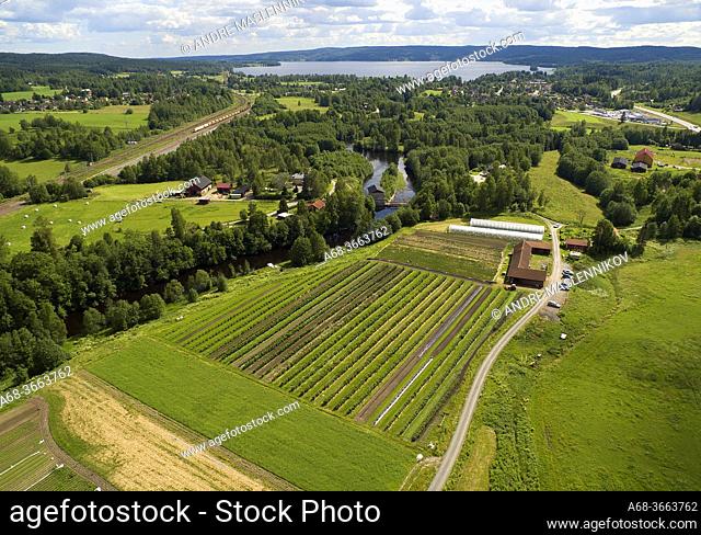 Organic farming at Storå, near Lindesberg. Lake Råsvalen in the background. Sweden