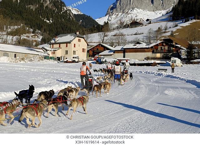 La Grande Odyssee, international sled dog race Haute-Savoie department, Rhone-Alpes region, France, Europe
