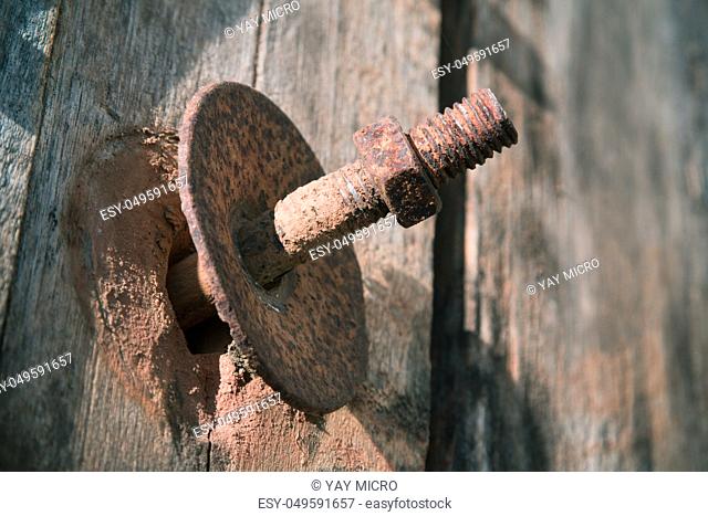 The screw nut is rust on old wood floor
