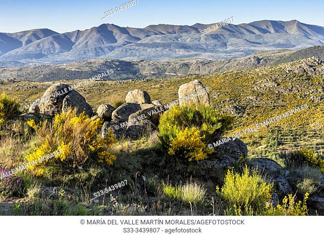 Sierra de Gredos from Sierra Paramera in spring time. Avila. Spain. Europe
