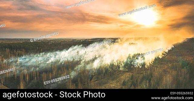 Aerial View. Spring Dry Forest Burns During Drought Hot Weather. Bush Fire And Smoke During Sunset. Wild Open Fire Destroys Grass. Nature In Danger