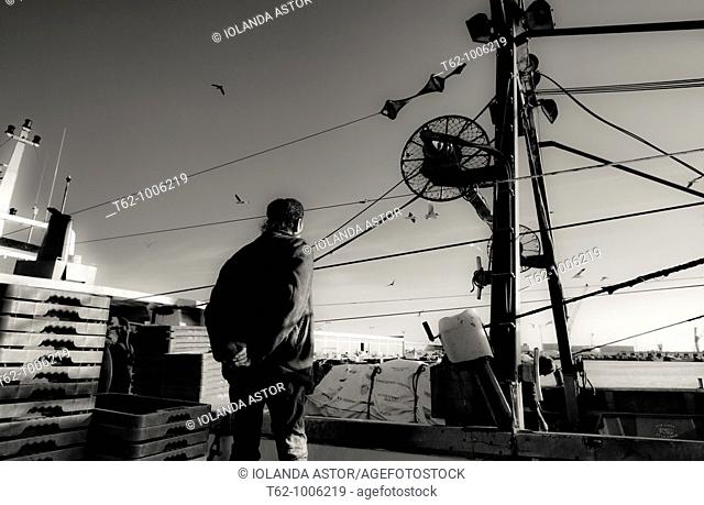 A man contemplates a fishing boat moored at the pier  Fishing port of Vilanova i la Geltrú  Catalunya  Spain