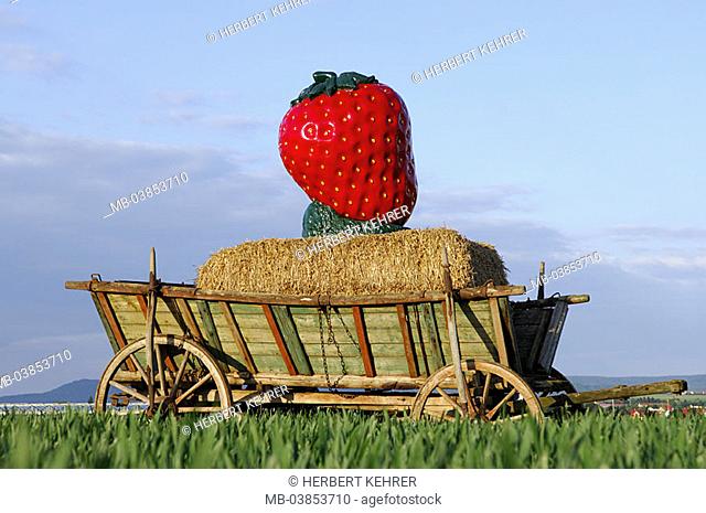 Field-landscape, wood-cars, straw-bale, strawberry, oversize, artificially, field, useful plants, decoration, cars, hint, attention, strawberry-field