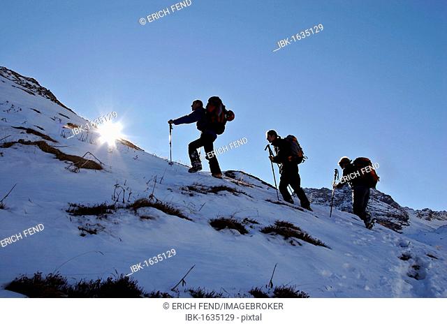Mountaineers ascending Mt Roggspitze, Zuers, Lechquellengebirge, Lechquellen range, Vorarlberg, Austria, Europe