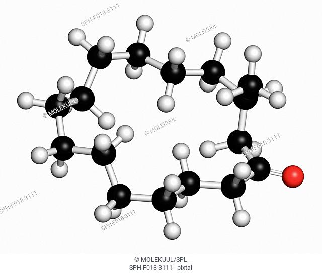 Muscone musk odour molecule. Atoms are represented as spheres with conventional colour coding: hydrogen (white), carbon (grey), oxygen (red)