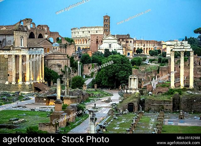 Roman Forum, Rome, Lazio, Italy