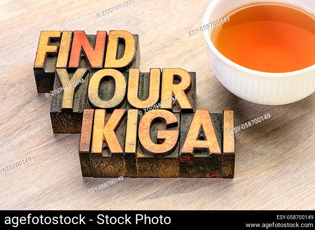 find your ikigai word abstract in vintage letterpress wood type with a cup of tea - Japanese concept of a reason for being