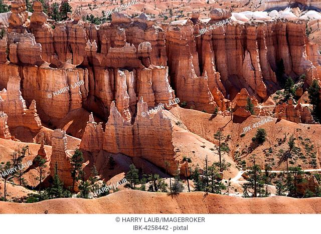 View of coloured rock formations from Sunset Point, fairy chimneys, Bryce Canyon National Park, Utah, USA