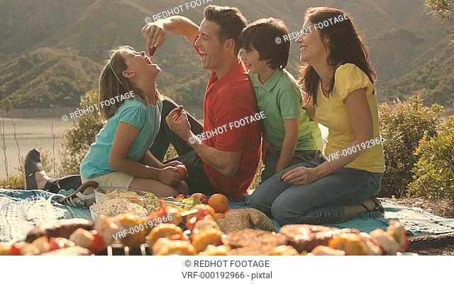 Dolly shot of family having barbecue picnic by lake in countryside
