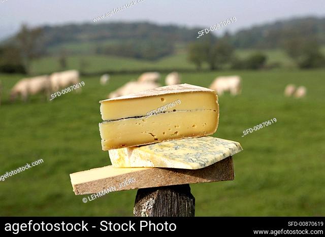 Cheeses from the Jura: Bleu de Gex, Morbier and Comté
