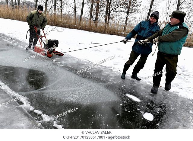 Employees of Pohorelice fisheries cut through the ice on one of the fishing ponds at Pohorelice near Breclav, Czech Republic on February 23, 2017