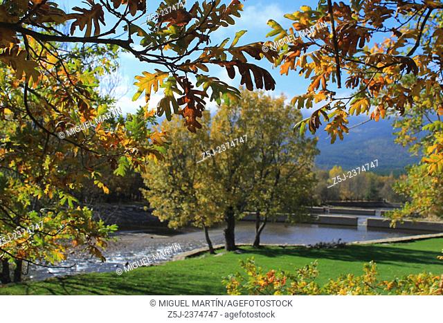 Autumn colours in oak trees beside Las Presillas river pools near El Paular, at Madrilenian Lozoya Valley in the Sierra de Guadarrama mountain range
