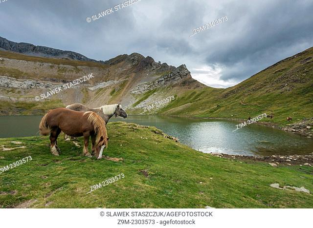 Horses at Ibon de Asnos, Pyrenees, Huesca, Aragon, Spain