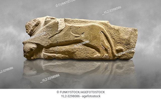 Alaca Hoyuk - Hittite lion sculptures corner Stone. . Andesite. Alacahoyuk, 1399 - 1301 B. C. Anatolian Civilisations Museum, Ankara, Turkey.