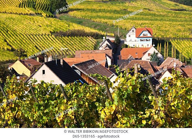 France, Bas-Rhin, Alsace Region, Alasatian Wine Route, Blienschwiller, town buildings and vineyards