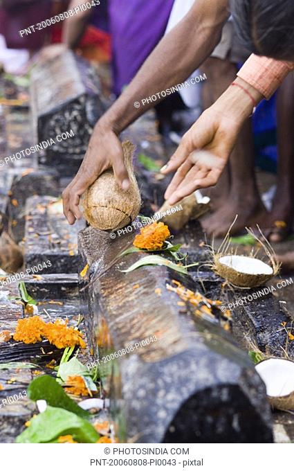 Person''s hand breaking a coconut in a temple, Tirupati, Andhra Pradesh, India